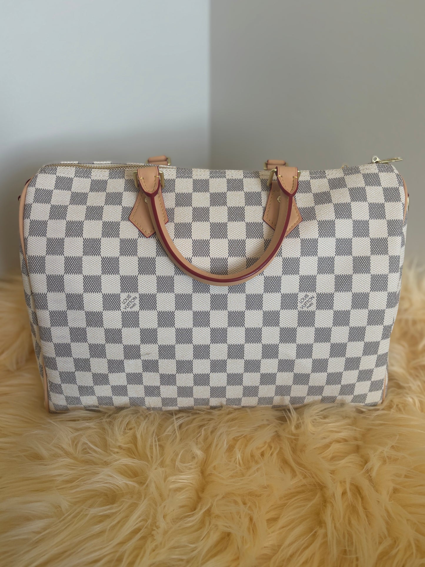Inspired Coastal Check Satchel ✨